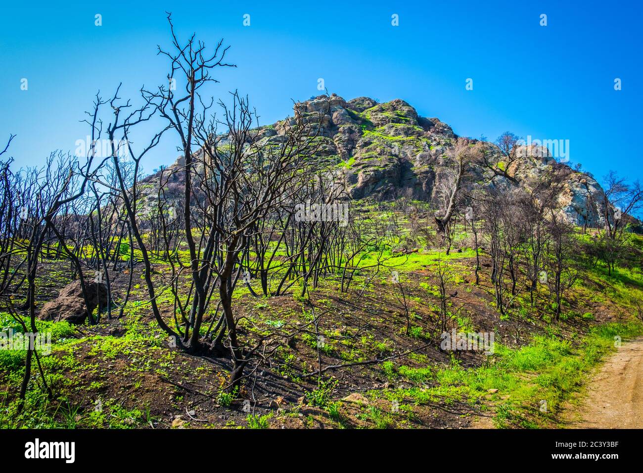 Sentier de terre dans le parc national de Malibu Creek, dans les montagnes de Santa Monica, au printemps 2019 Banque D'Images