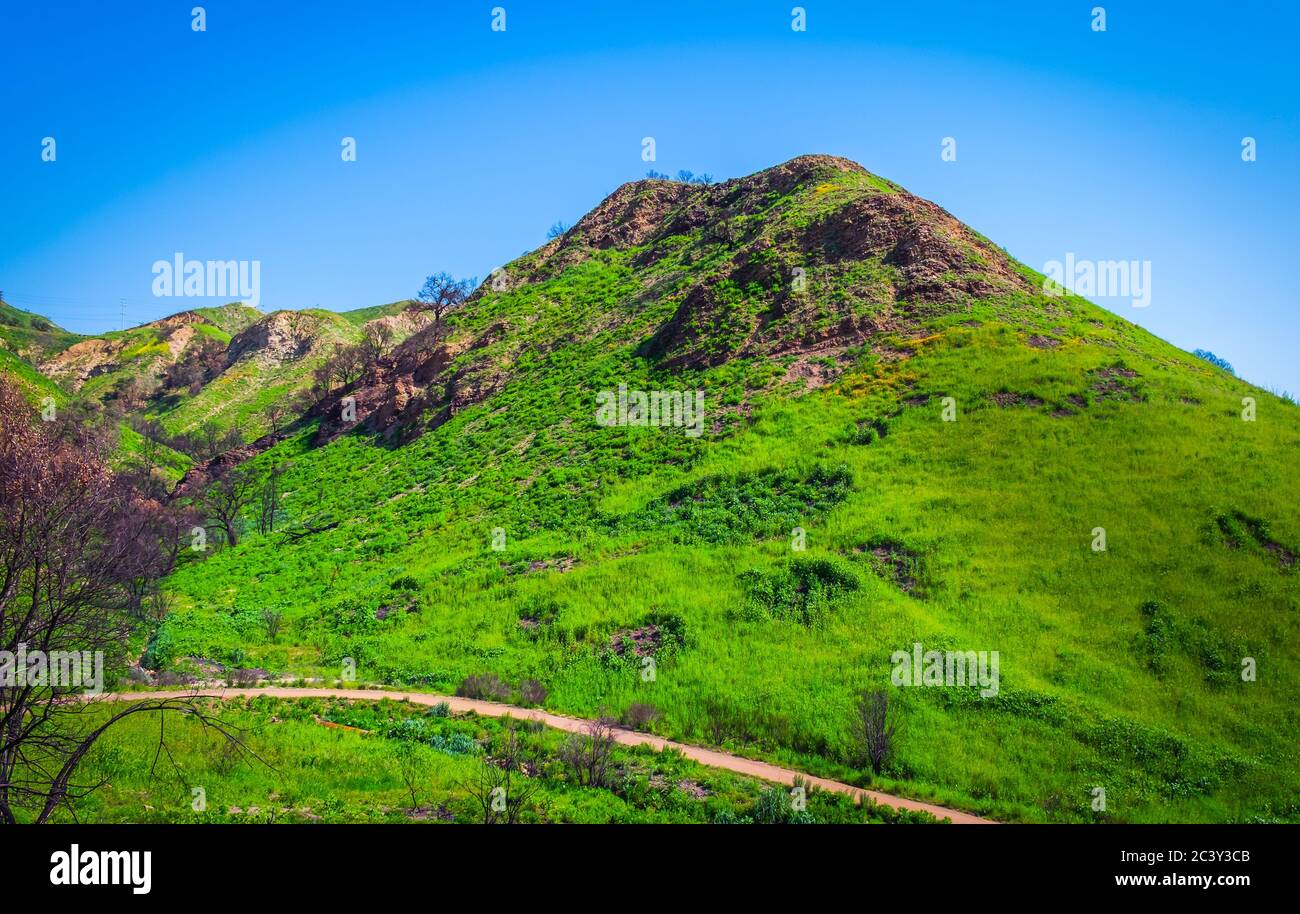 Parc national de Malibu Creek dans les montagnes de Santa Monica au printemps 2019 Banque D'Images