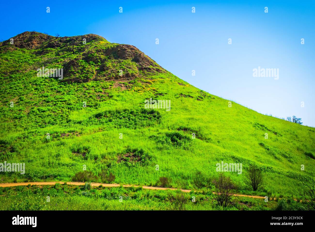 Parc national de Malibu Creek dans les montagnes de Santa Monica au printemps 2019 Banque D'Images