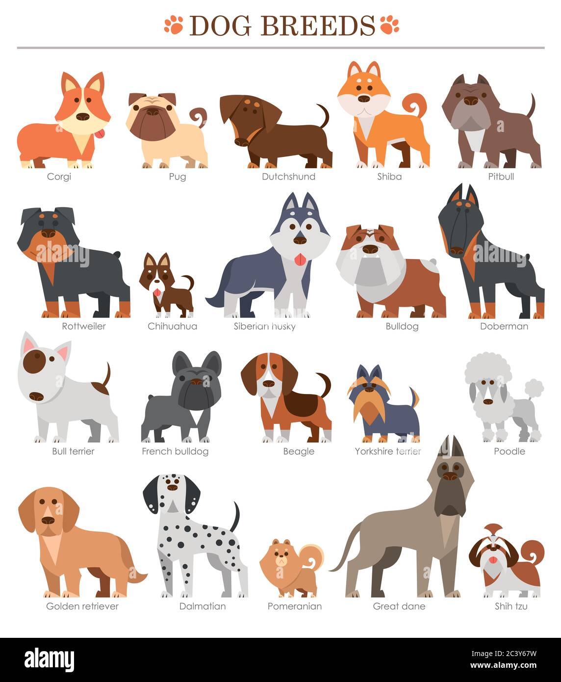 Illustration vectorielle du jeu de races de chiens de dessin animé. Chien mignon. Illustration de Vecteur