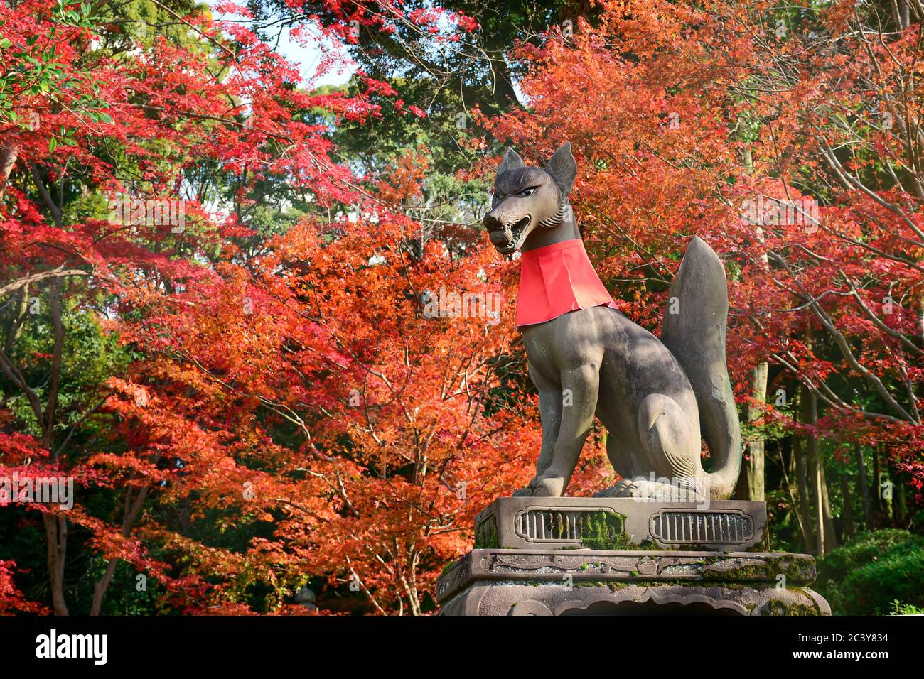 Statue de renard et feuilles d'automne sur Novenber au sanctuaire de Fushimi Inari. Banque D'Images