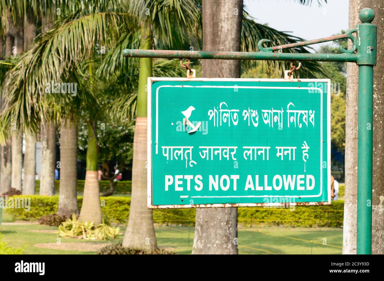 Animaux non admis panneau sur le jardin du parc. Les animaux ne sont pas admis. Arrière-plan du concept de permission. Banque D'Images