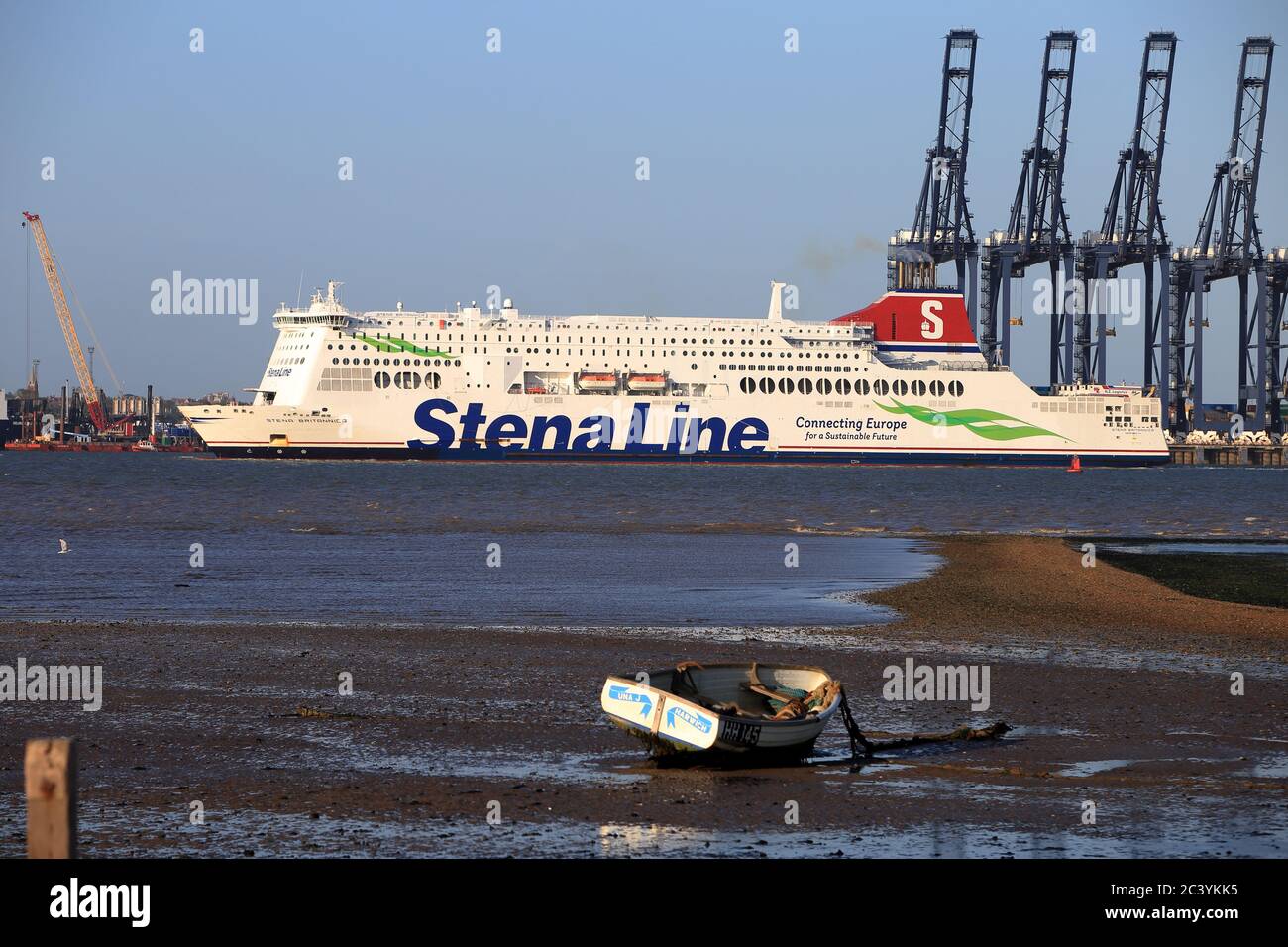 Stena Line ferry Stena Britannica entrant dans le quai de Harwich/Felixstowe sur la route de Parkstone Quay. Banque D'Images