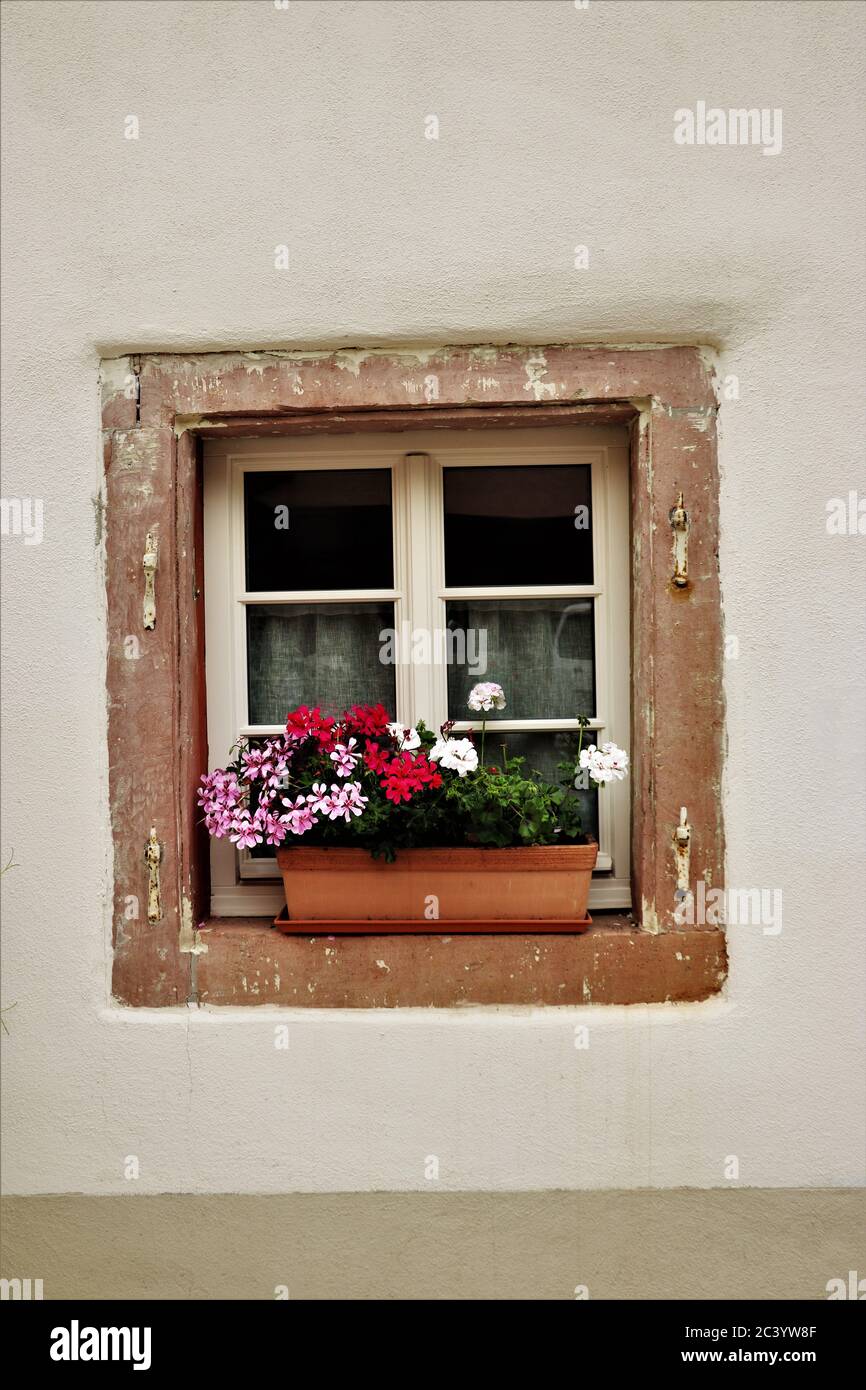 Flowerpot coloré de seuil de fenêtre contre rustique maison traditionnelle allemande. Neuleiningen, Allemagne Banque D'Images