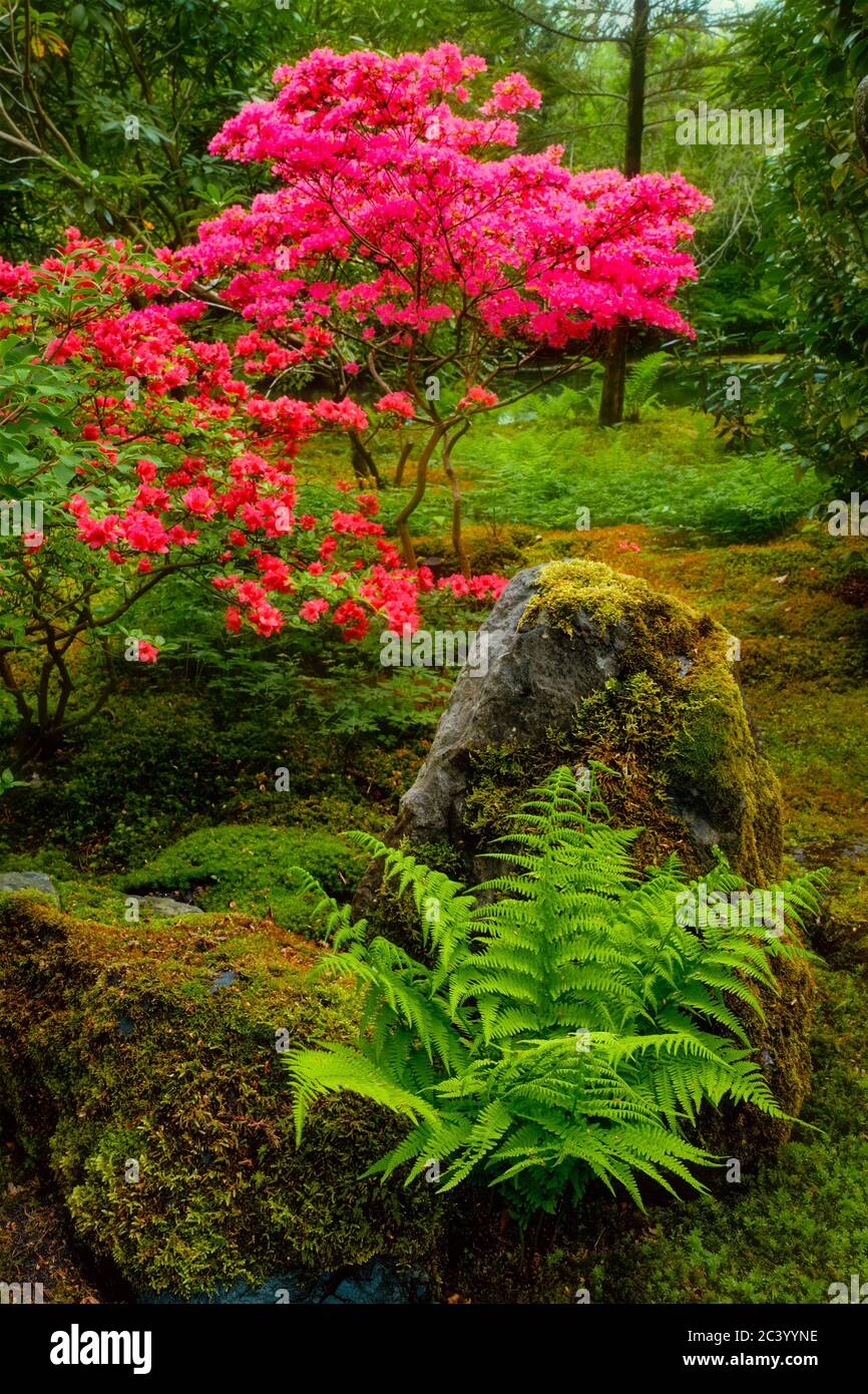 Jardin japonais, Parc Clingendael, La Haye, Pays-Bas Banque D'Images