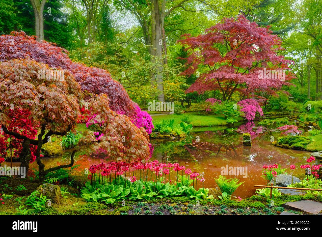 Jardin japonais, Parc Clingendael, La Haye, Pays-Bas Banque D'Images
