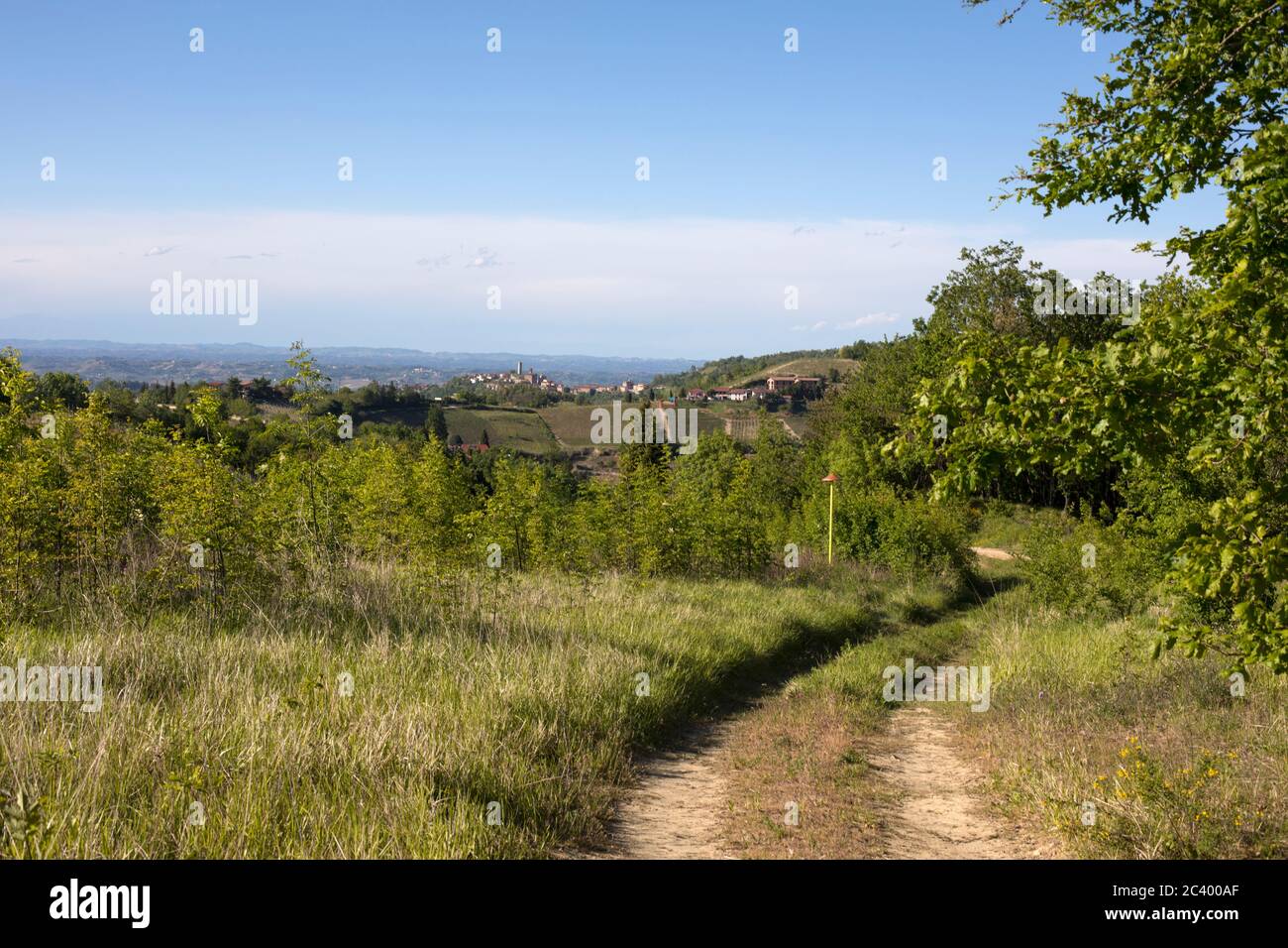 Langhe route de retour près de Sessame, Piémont, Italie Banque D'Images