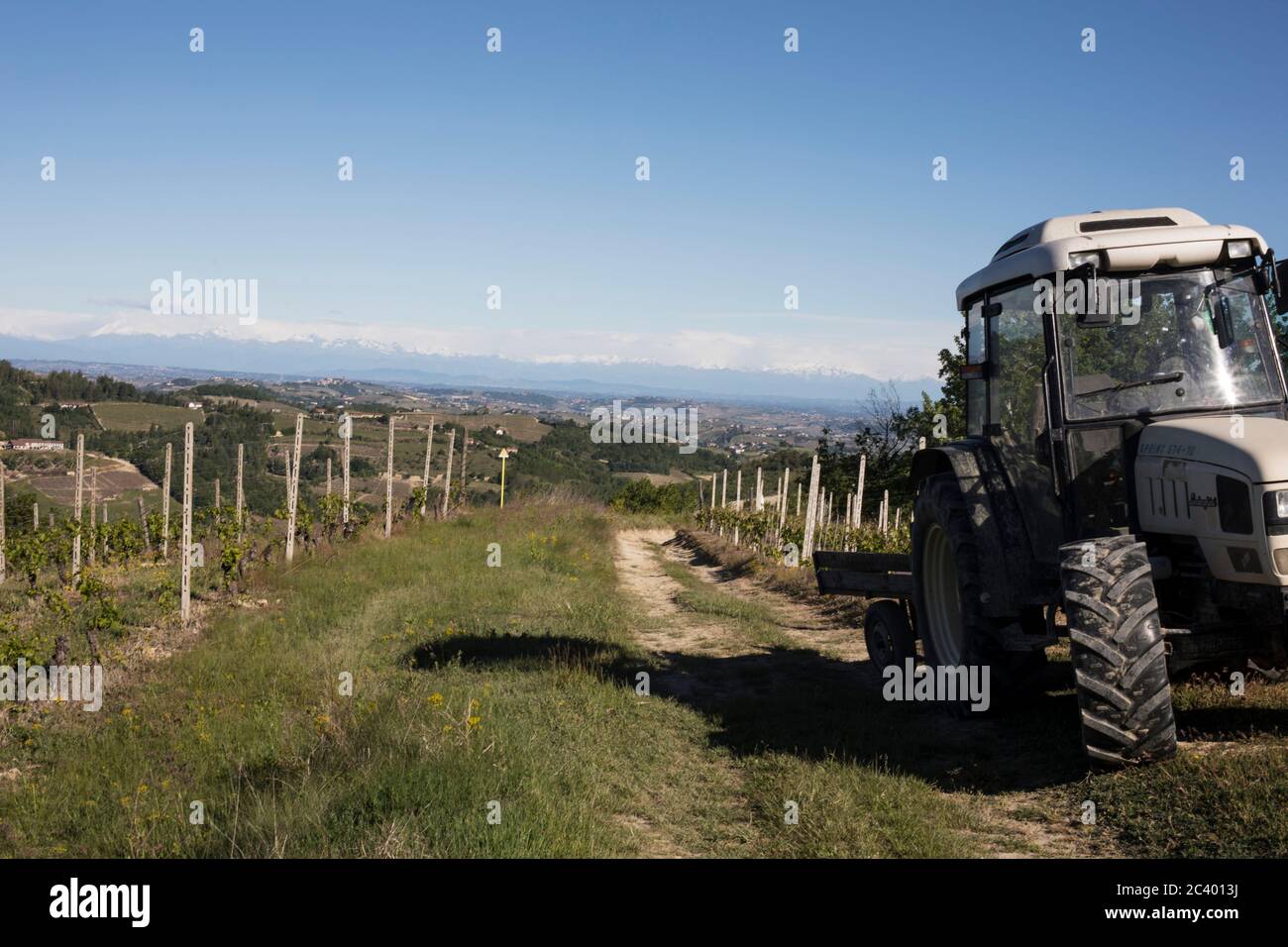Un tracteur dans un chemin de derrière au milieu des vignobles près de Sessame, Piémont, Italie Banque D'Images