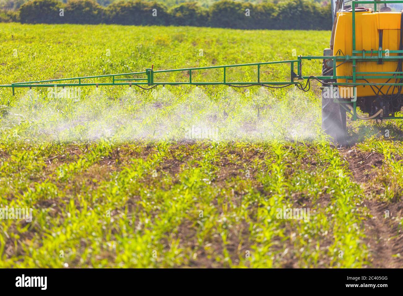Un pulvérisateur de champ de tracteur qui épandre de l'herbicide sur le champ Banque D'Images