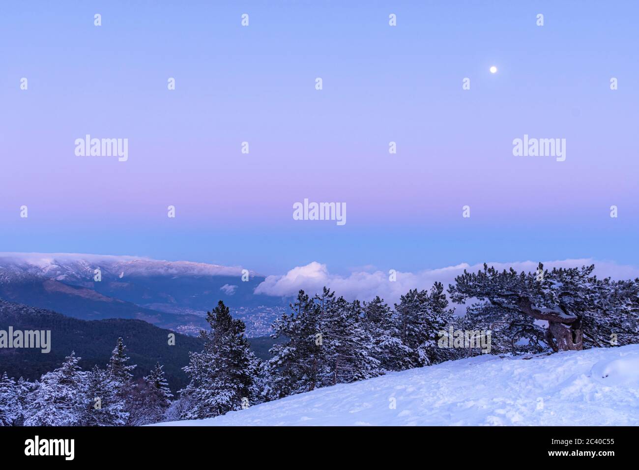 Paysage panoramique d'hiver avec pleine lune. Coucher de soleil rose sur la mer. Paysage d'hiver calme avec des sapins. Vue de Yalta depuis le mont ai-Petri Cr Banque D'Images