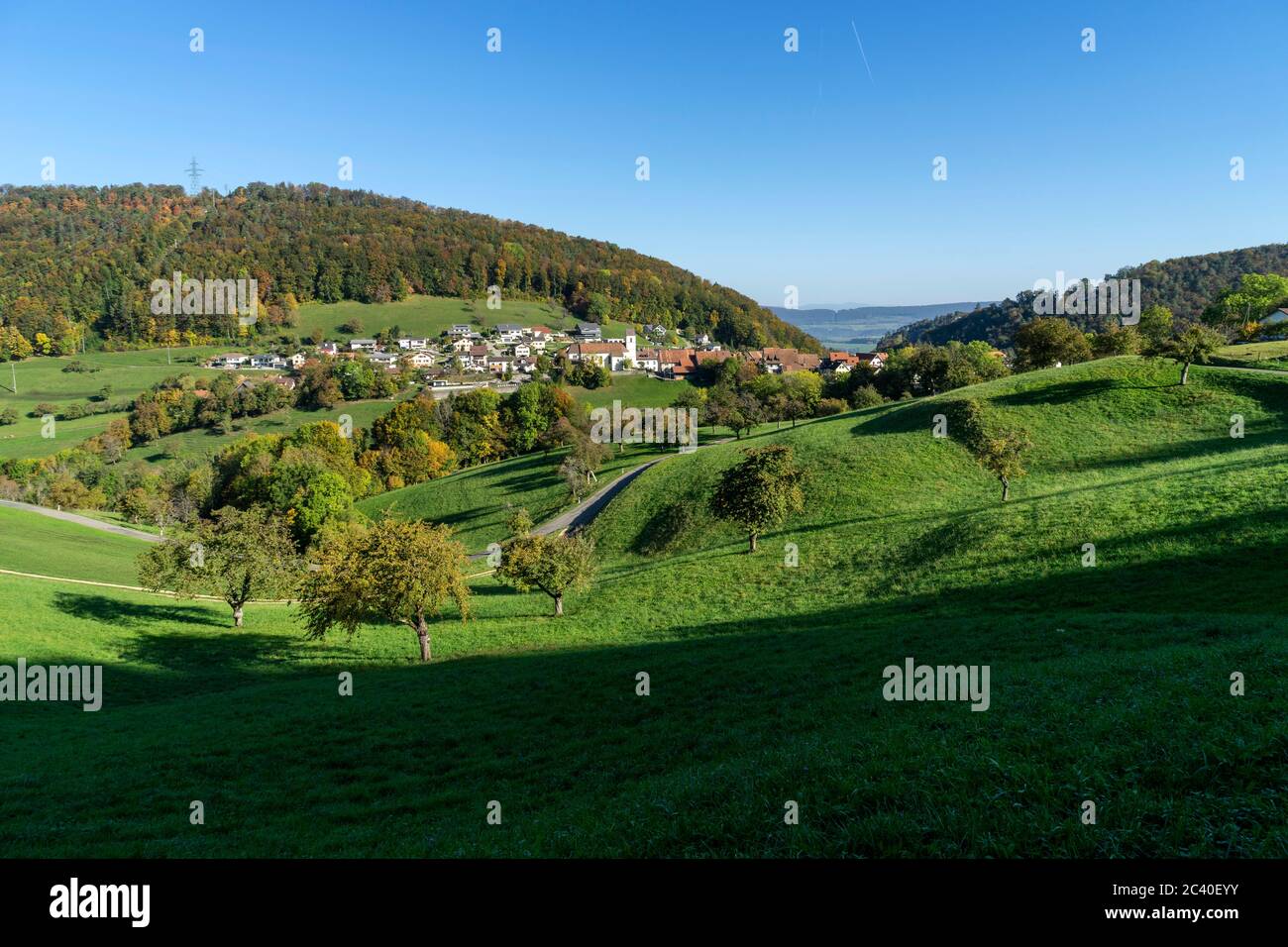 DAS Dorf Grindel im Solothurner Jura (Schwarzbubenland) mit dem Rütliberg dahinter, Kirschbäume im Vordergrund Banque D'Images