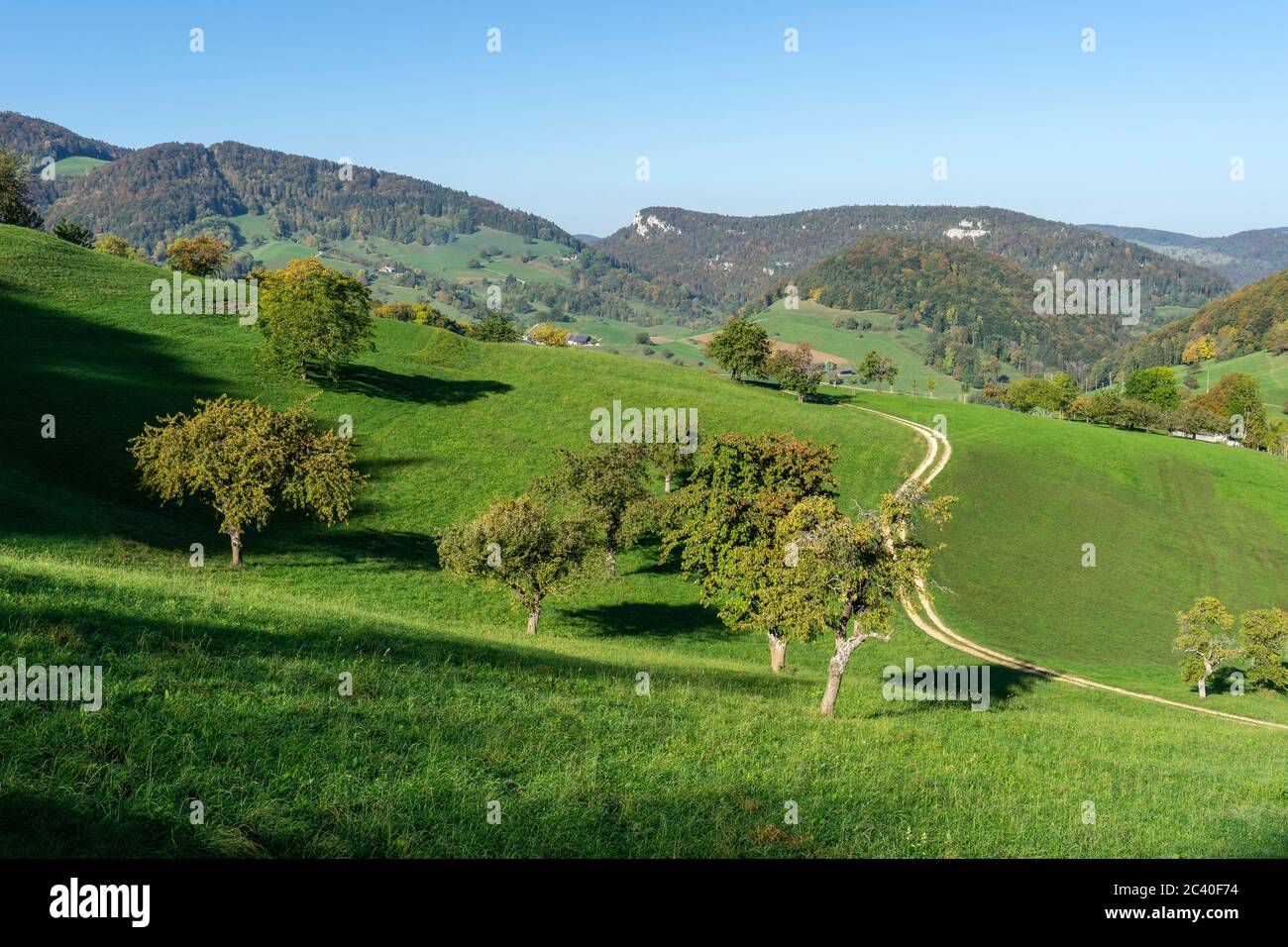 Im Solothurner Jura (Schwarzbubenland) BEI Grindel, mit Kirschbäumen, ganz hinten die Roti Flue Banque D'Images