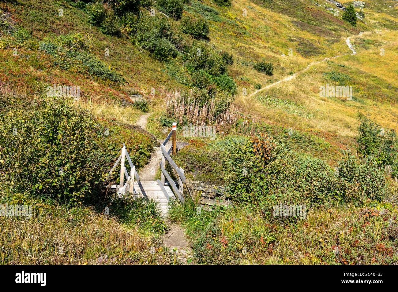 Bergwanderweg im Hochmoor namens Kristalloch in der Zervreila-Region, Valser Tal, Grisons. Banque D'Images
