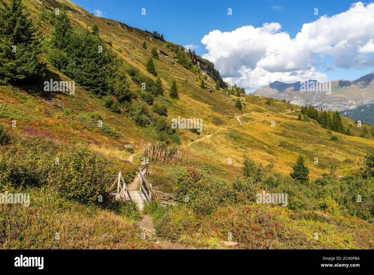 Bergwanderweg im Hochmoor namens Kristalloch in der Zervreila-Region, Valser Tal, Grisons. Inten der merde Grisch oder Plangghora. Banque D'Images