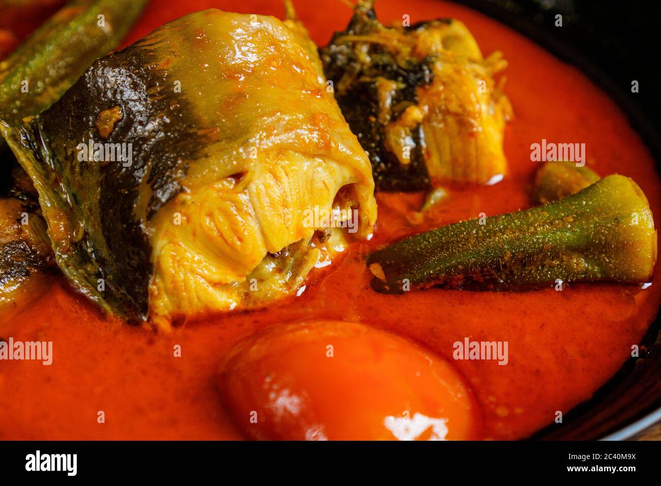 Poisson-chat avec sauce au curry épicée et légumes Banque D'Images