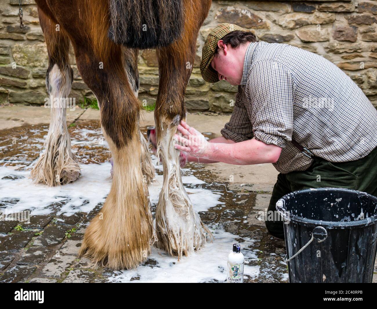 Homme vêtu de vêtements d'époque, lavant des fetlocks de cheval avec de l'eau savonneuse, Beamish Museum, Durham County, Angleterre, Royaume-Uni Banque D'Images