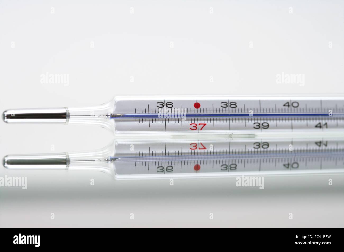 Thermomètre à fibres Banque D'Images