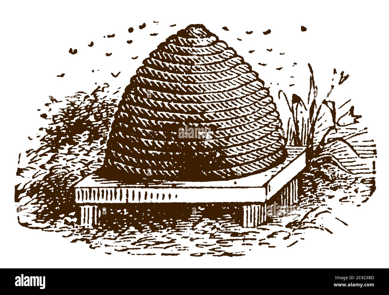 Ruche traditionnelle ou skep avec des abeilles essaimandes, après une gravure antique du XIXe siècle Illustration de Vecteur
