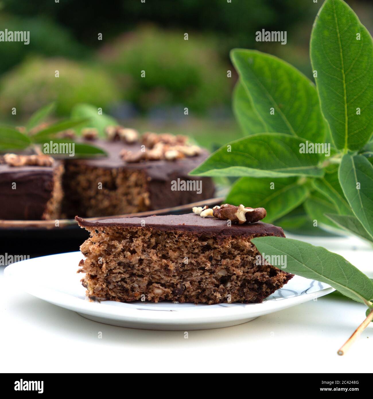 Gateau Au Chocolat Maison Gateau Traditionnel Croate Gateau Skradinsky Cuisines Du Monde Photo Stock Alamy Gateau Au Chocolat Maison Gateau Traditionnel Croate Gateau Skradinsky Cuisines Du Monde Photo Stock Alamy