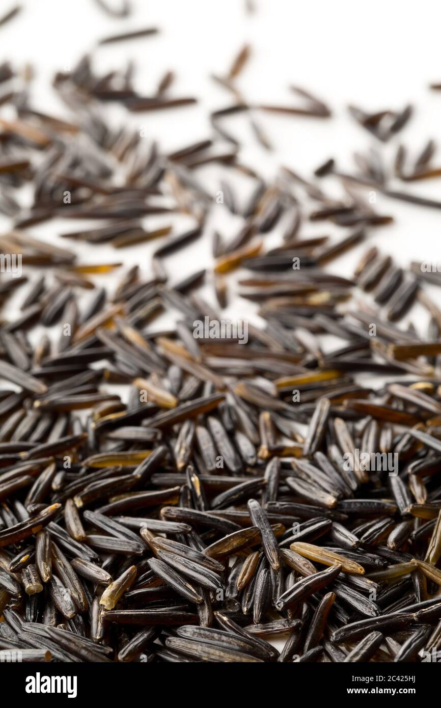 Gros plan macro de grains de riz sauvage non cuits, crus et noirs sur fond blanc avec mise au point sélective Banque D'Images
