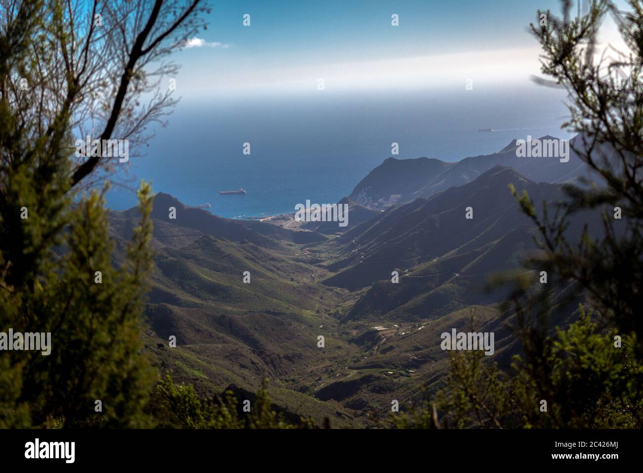 Une chaîne de montagnes verdoyantes avec l'océan en arrière-plan, prise de vue avec le cadrage de feuilles vertes Banque D'Images