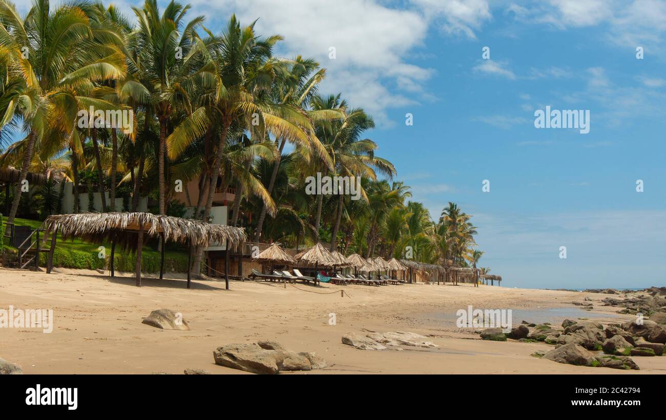 Parasols en paille sur une plage sans personnes à côté d'une rangée de palmiers avec un ciel bleu en arrière-plan Banque D'Images