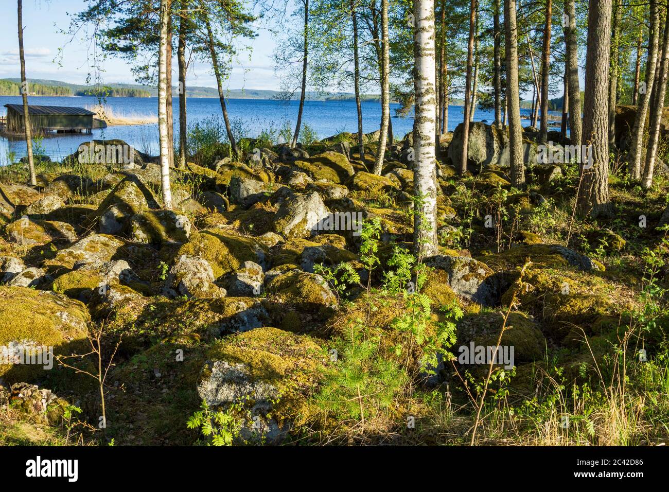 Rive rocheuse du lac Päijänne , Finlande Banque D'Images