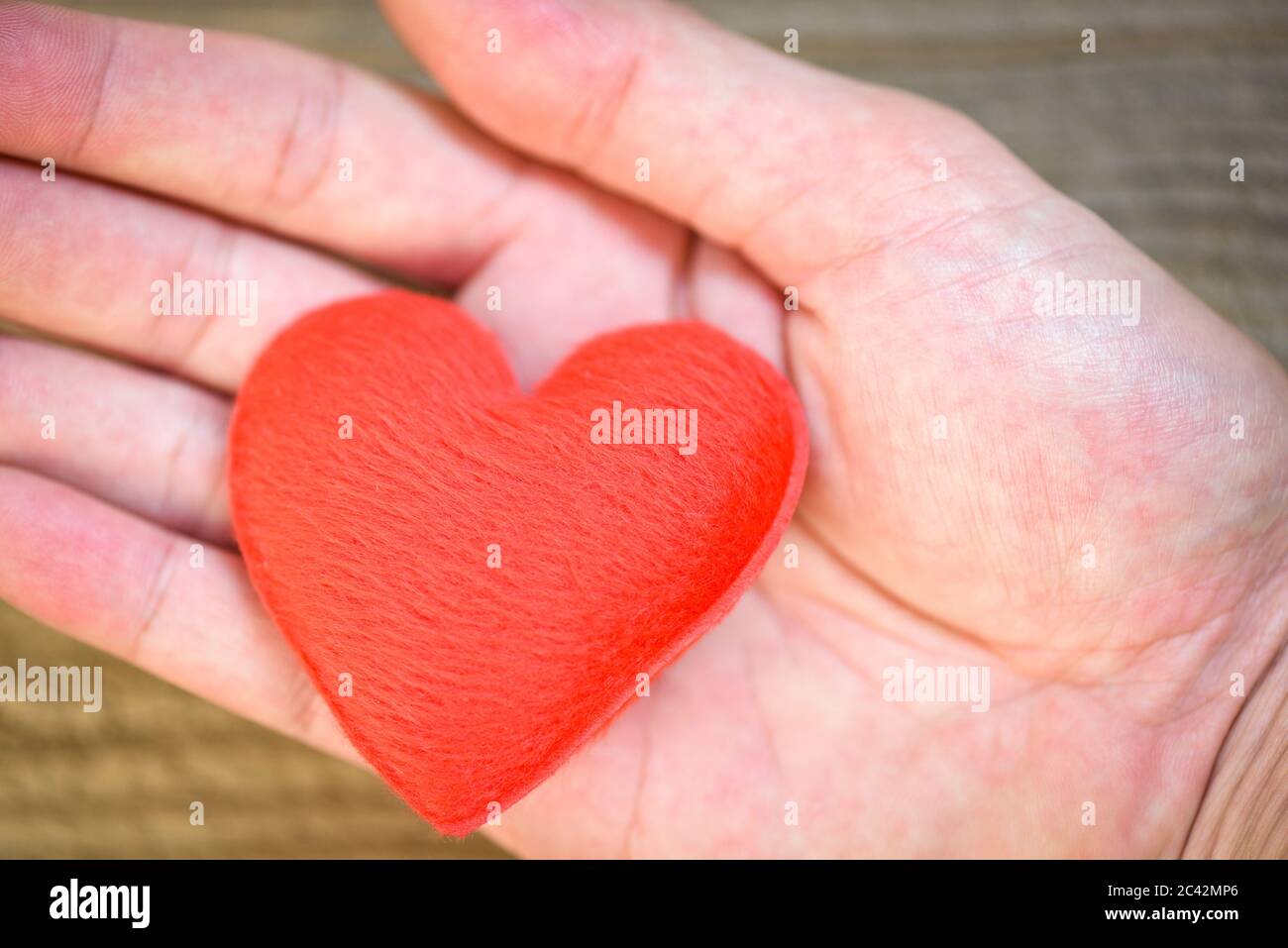 soins de santé amour don d'organe assurance famille journée mondiale de la santé espoir / mains tenir coeur donner amour philanthropie donner aide à la chaleur prendre soin valen Banque D'Images