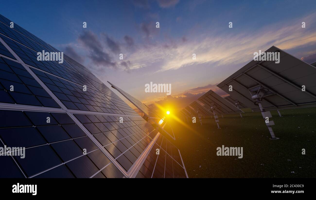 Panneaux solaires Field at Dawn 3D Rendering Banque D'Images