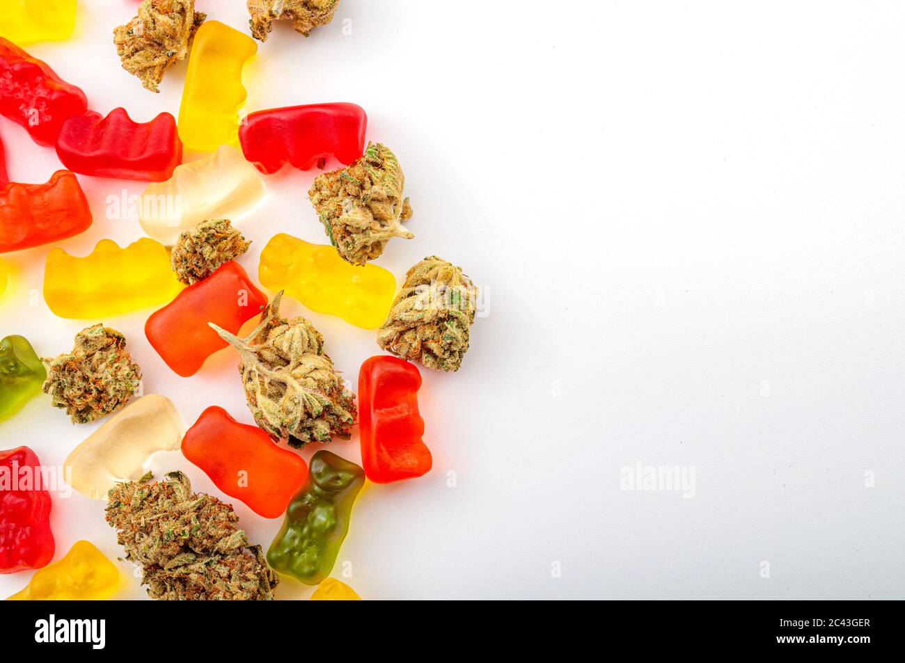 Les diables de cannabis, la marijuana médicale, les gommies infusées de CBD et le thème de concept de pot comestible avec gros plan sur les ours en gelée colorés et les bourgeons de mauvaises herbes sur le bac blanc Banque D'Images