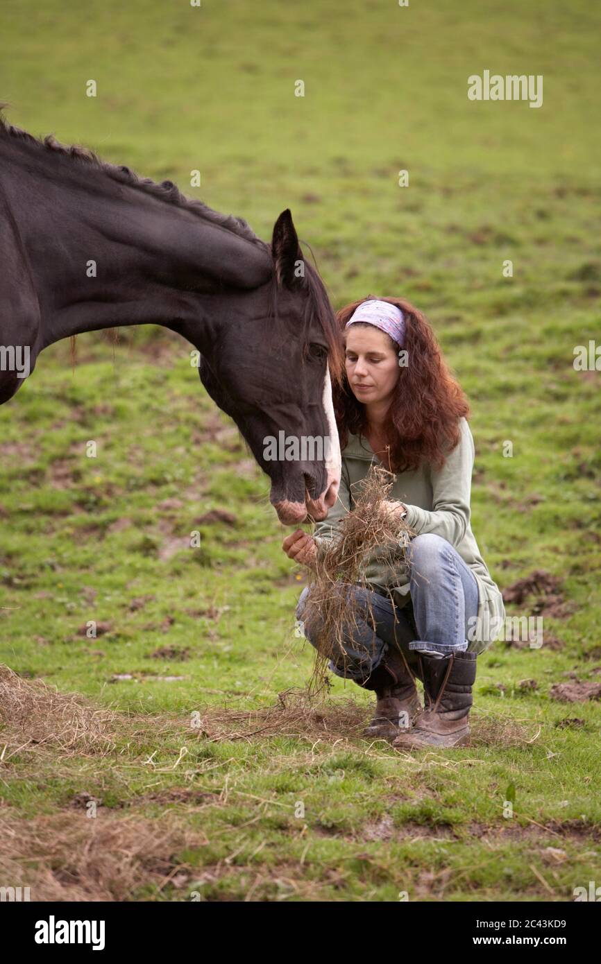 La femme nourrit un cheval Banque D'Images