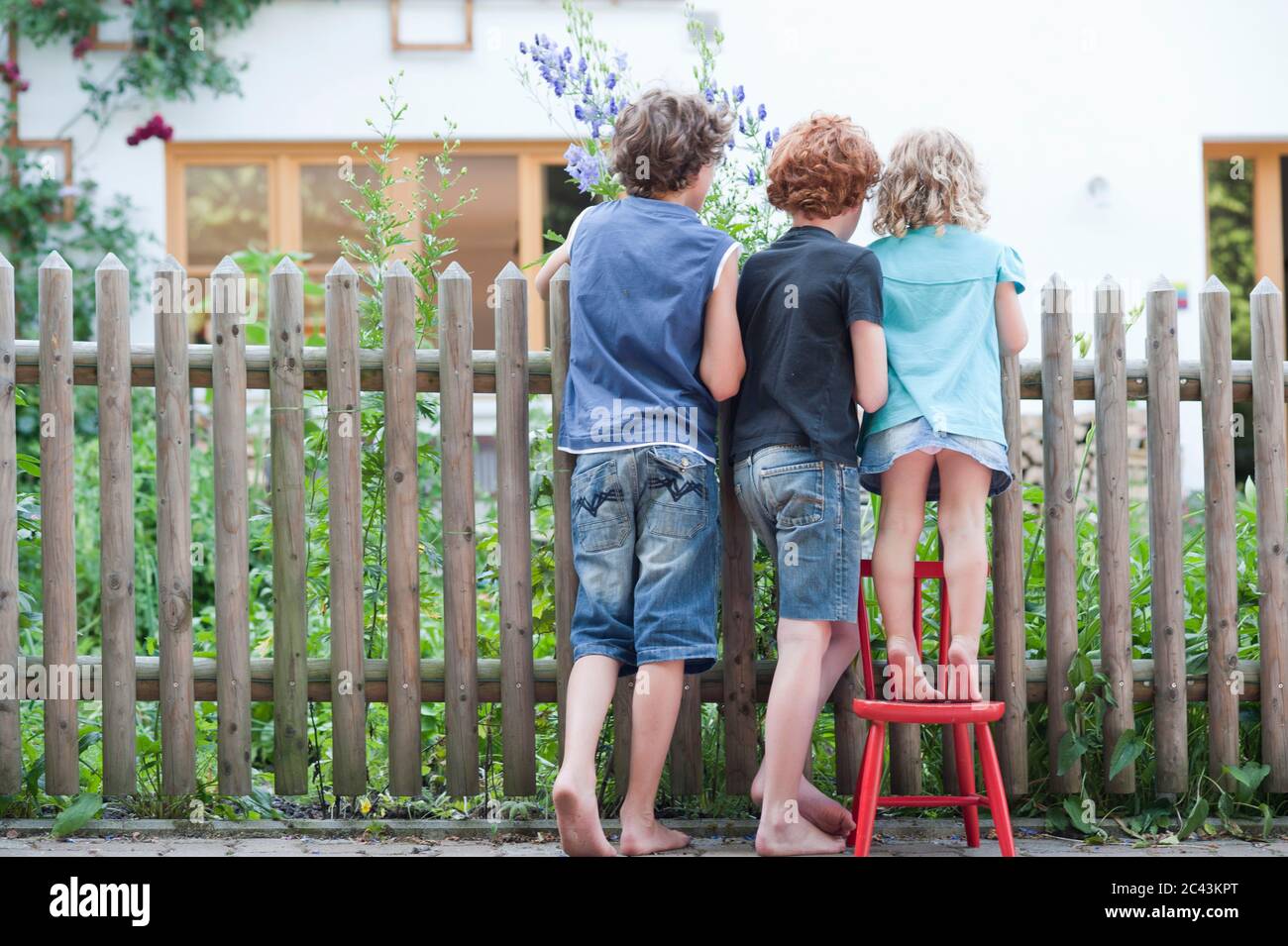 Trois enfants regardent une clôture de jardin, vue arrière Banque D'Images