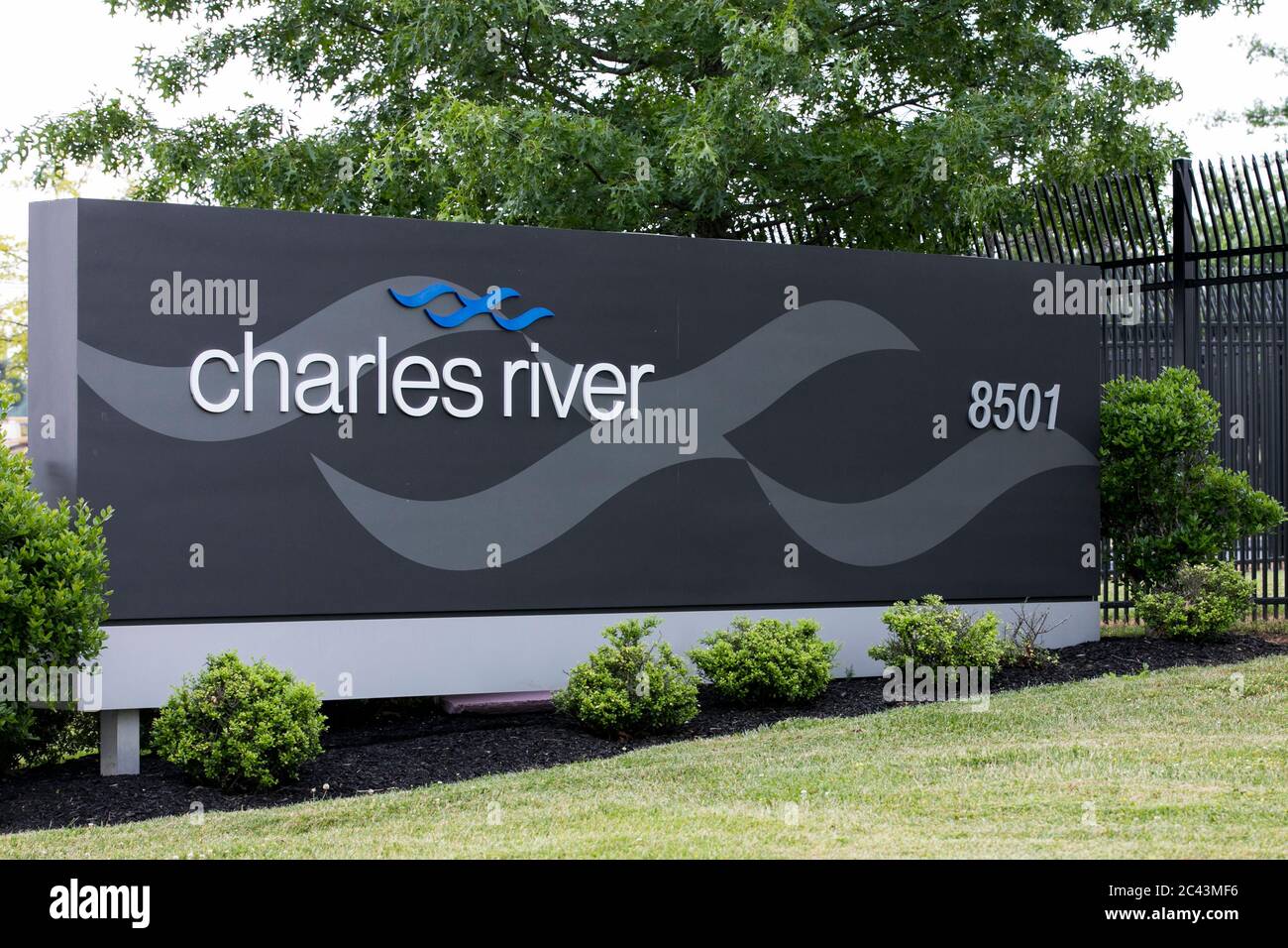 Un logo à l'extérieur d'une installation occupée par les laboratoires Charles River à Frederick, Maryland, le 10 juin 2020. Banque D'Images