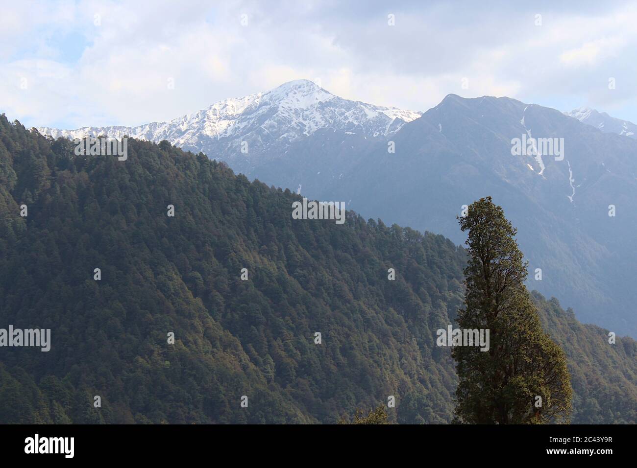 une vue sur le paysage des montagnes de l'himalaya inférieur Banque D'Images