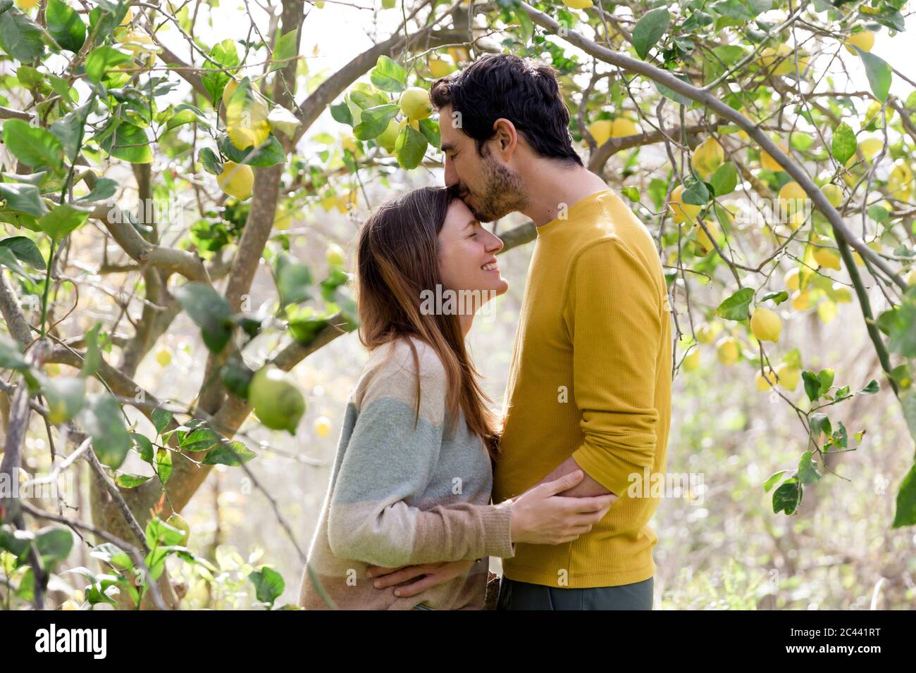 Homme aimant embrassant sur le front de la petite amie tout en se tenant près du citronnier dans la ferme Banque D'Images