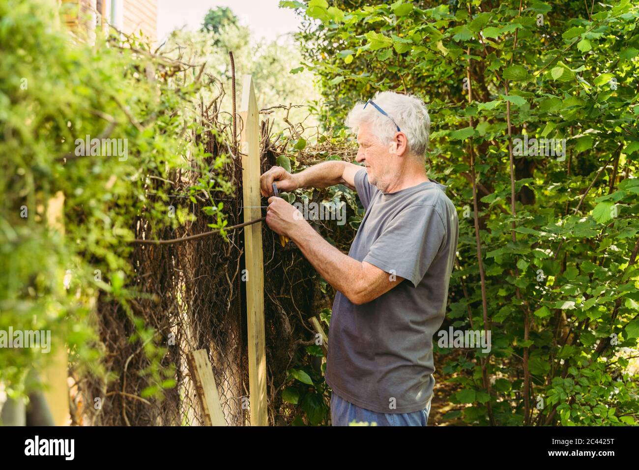 Homme senior qui fixe la clôture du jardin Banque D'Images