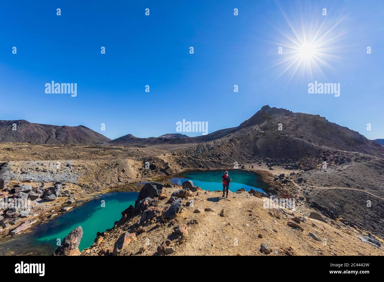 Nouvelle Zélande, île du Nord, soleil qui brille plus de Randonneur admirant des eaux vert émeraude en Parc National de Tongariro Banque D'Images