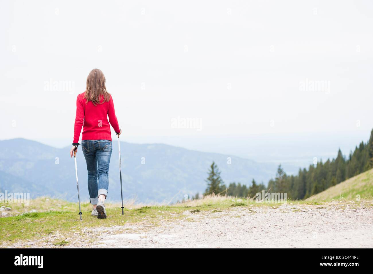Vue arrière de la femme avec des bâtons de randonnée Banque D'Images