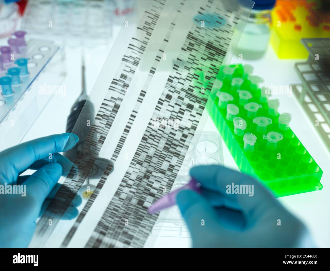 Mains du scientifique portant des gants chirurgicaux pour analyser le tableau des résultats du séquençage de l'ADN Banque D'Images