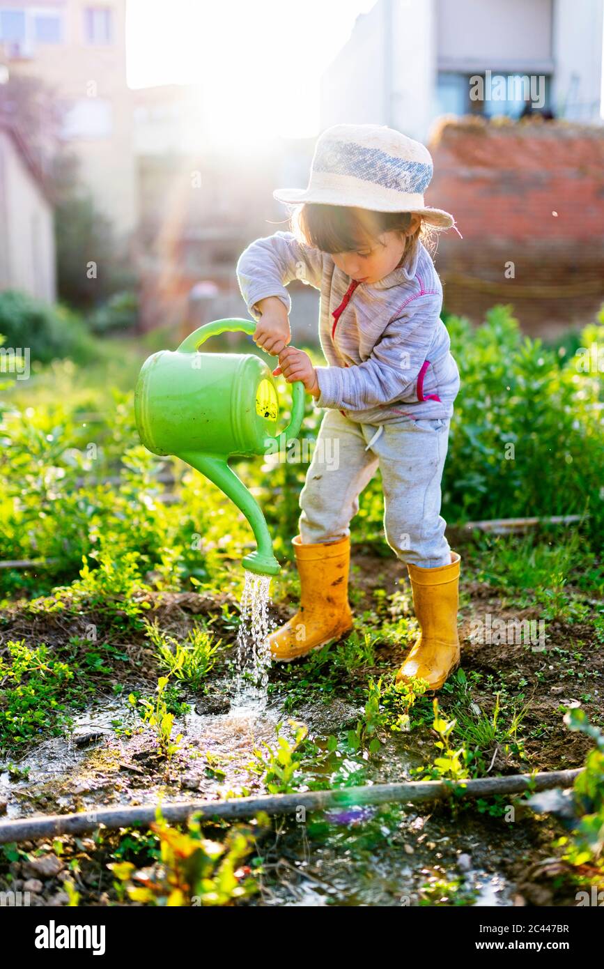 Pleine longueur de mignonne fille d'arrosage de plantes au verger Banque D'Images