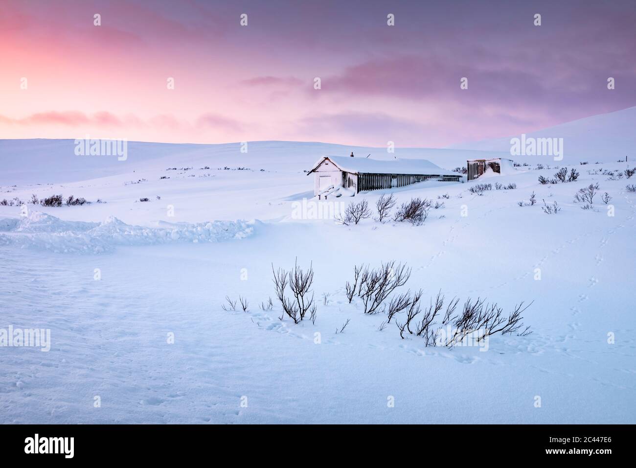 Maison de vacances isolée dans le paysage d'hiver, Tana, Norvège Banque D'Images