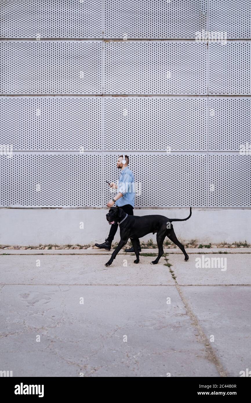 Jeune homme écoutant de la musique avec un casque et un smartphone tout en allant avec son chien Banque D'Images