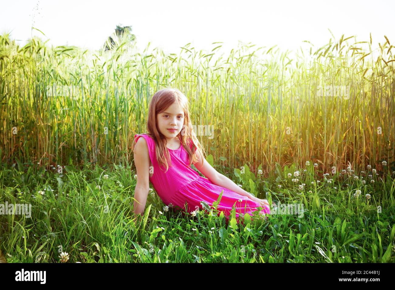 Portrait of young girl wearing vibrant robe rose assis en face de champ de seigle en été Banque D'Images