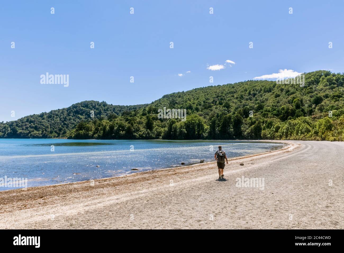 Nouvelle Zélande, île du Nord, homme backpacker de la randonnée le long de la plage de sable du lac Rotopounamu côtières Banque D'Images