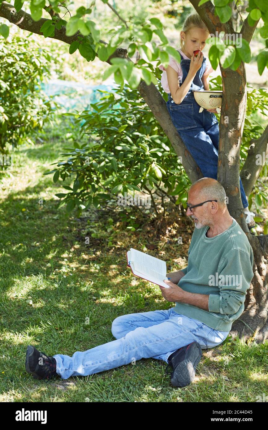 Grand-père et petite-fille décontractés dans le jardin lisant un livre et mangeant des fraises Banque D'Images