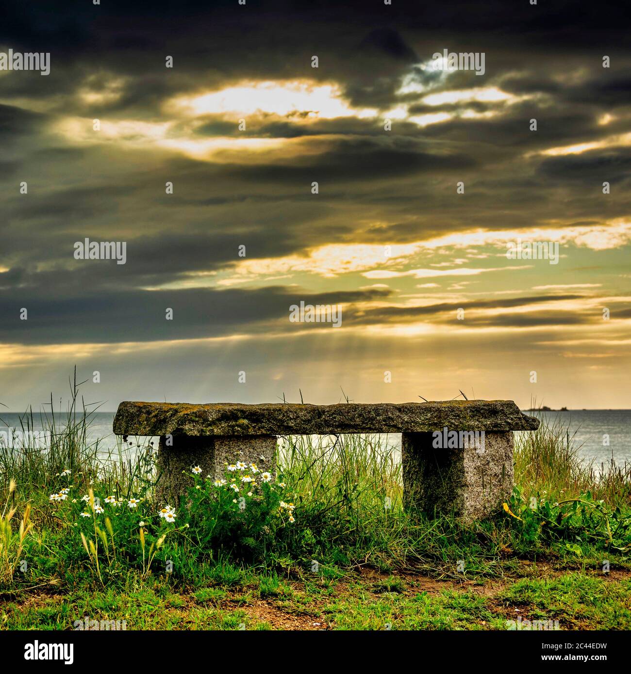 Banc de pierre au coucher du soleil, Pleubian, Côtes d'Armor, Bretagne, France Banque D'Images