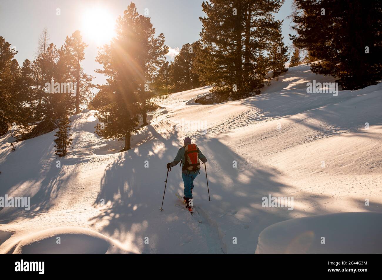 Autriche, Carinthie, Reichenau, Nockberge, Falkert, vue arrière de l'homme ski de randonnée au coucher du soleil Banque D'Images