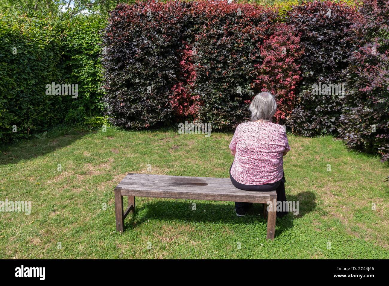 Kathy Brown's Garden, Stevington, Bedfordshire, Royaume-Uni Banque D'Images