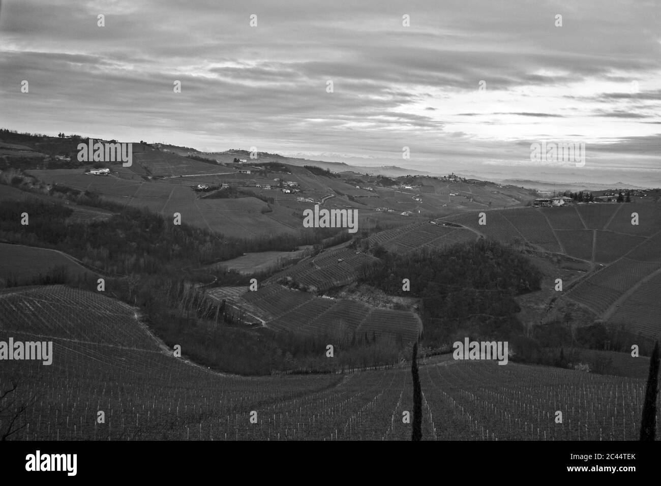 Photo en niveaux de gris des petites maisons rurales entourées de champs sous un ciel nuageux Banque D'Images