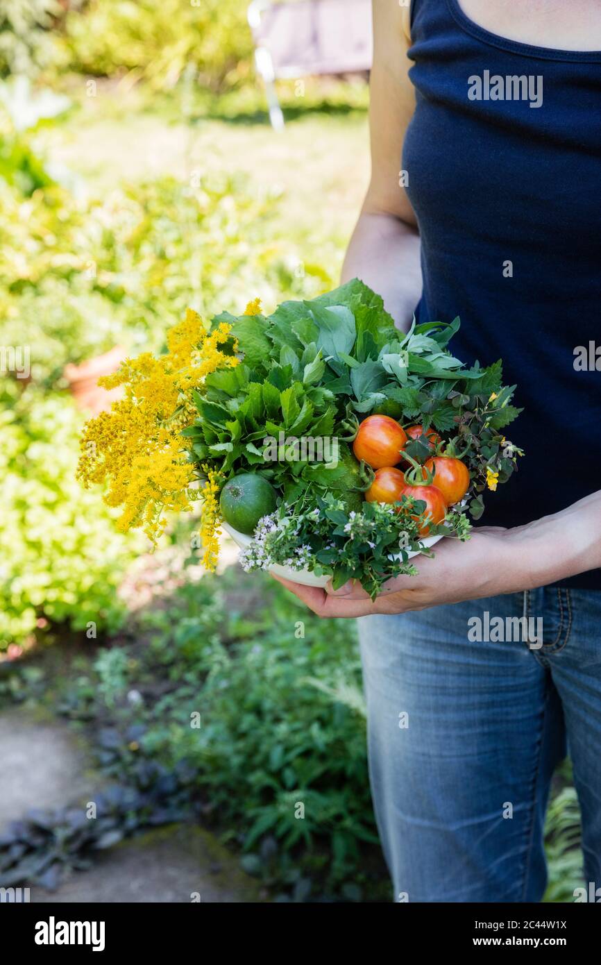 Woman holding bowl des herbes sauvages récoltés, l'origan oseille, tussilage, herb gerard, l'ortie, Houghton et tomates Banque D'Images